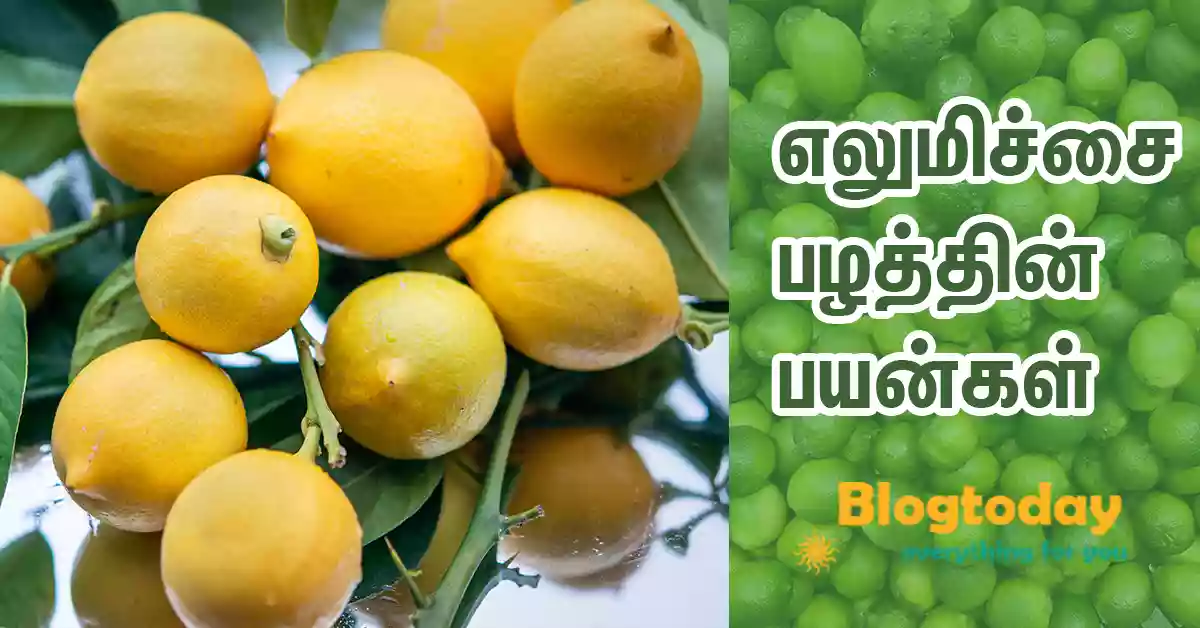 lemon benifits in tamil