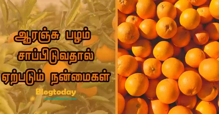 ஆரஞ்சு பழம்  சாப்பிடுவதால் ஏற்படும் நன்மைகள் Orange fruit