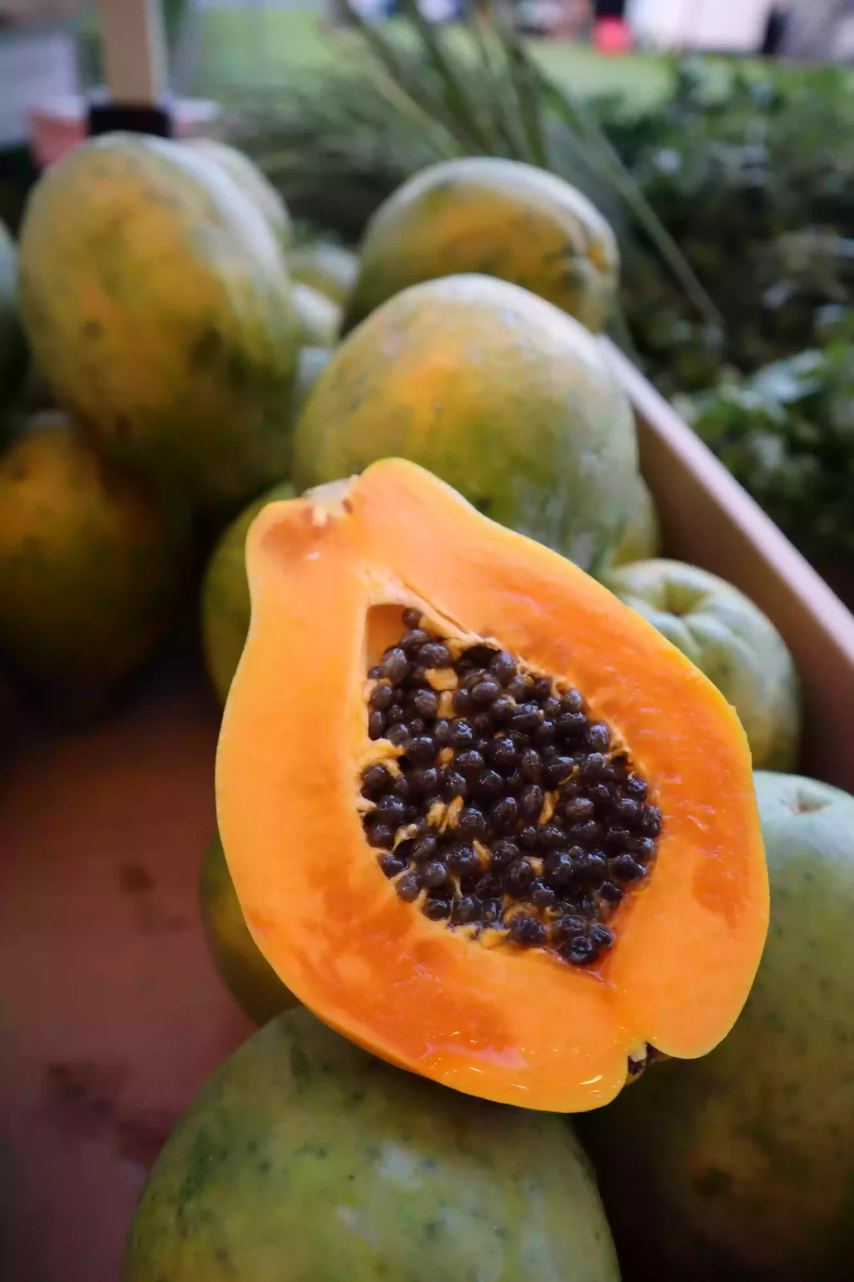 papaya  tamil 10 benifit