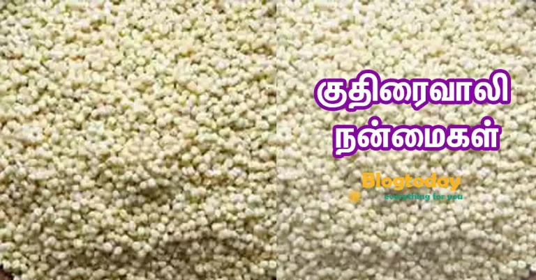 kuthiraivali rice benefits