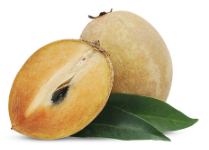 sapota fruit