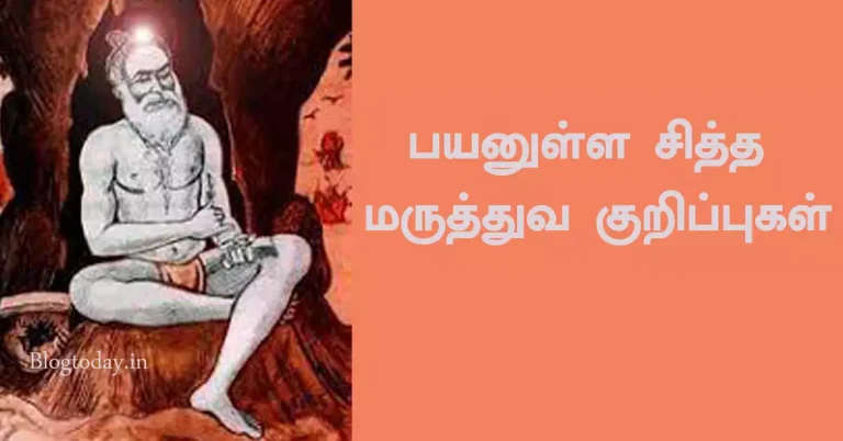 பயனுள்ள சித்த மருத்துவ குறிப்புகள்