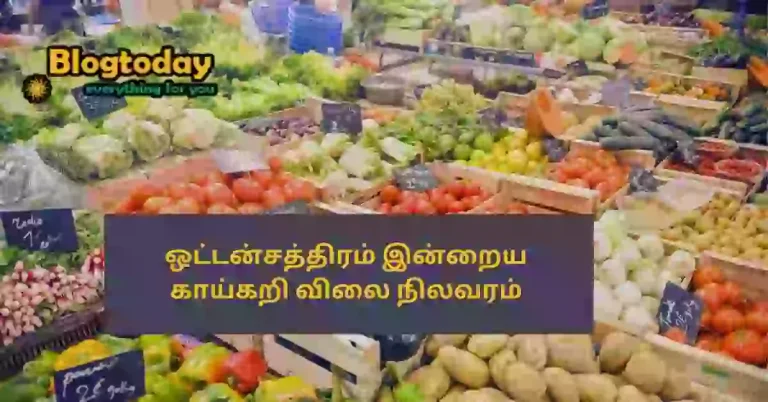 oddanchatram vegetable market price today