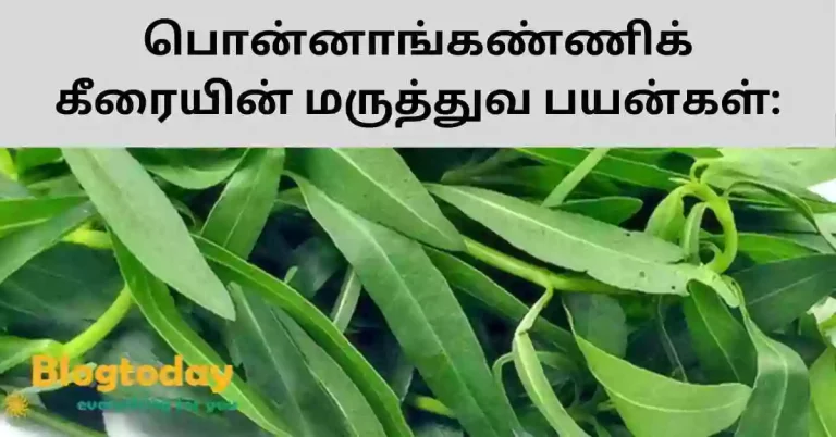 ponnanganni keerai image green colour